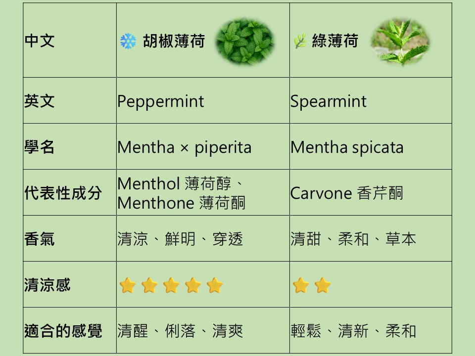胡椒薄荷vs.綠薄荷